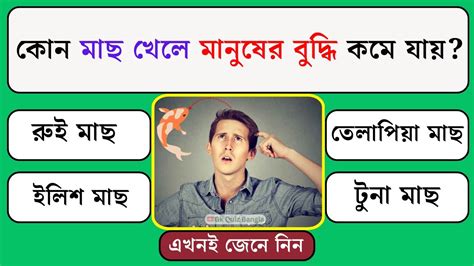 কোন মাছ খেলে মানুষের বুদ্ধি কমে যায় Bangla Quiz General Knowledge