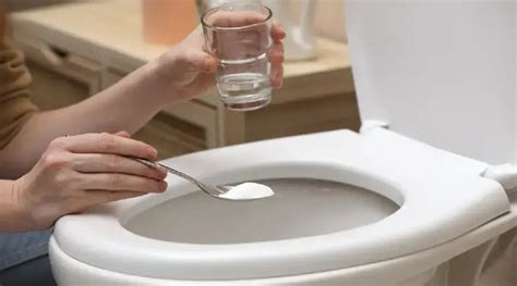 How To Unclog A Toilet With Vinegar And Baking Soda Storables