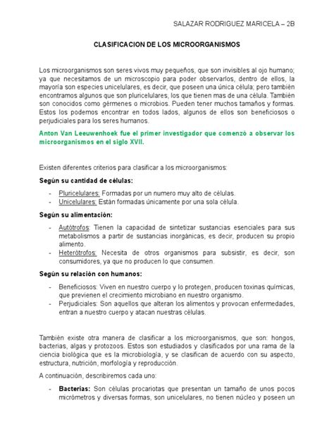 Clasificacion De Los Microorganismos Pdf Microorganismo Las Bacterias