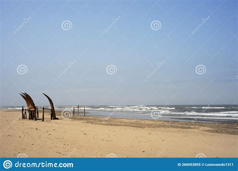 Traditional Peruvian Small Reed Boats Caballitos De Totora Straw