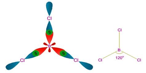 Which type of Hybridization occurs in Boron Trichloride (BCl3) Molecule ...