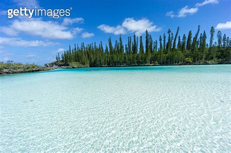 Beautiful Seascape Of Natural Swimming Pool Of Oro Bay Isle Of Pines