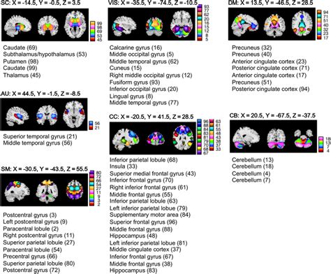 Resting State Networks Rsns Spatial Maps Of The Rsns N 53 Download Scientific Diagram