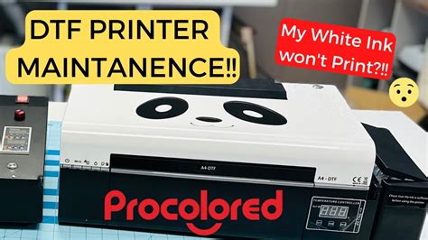 DTF PRINTER MAINTANENCE WHITE INK WON T PRINT PROCOLORED DTF