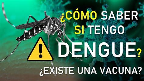 CÓMO SABER SI TENGO DENGUE DIAGNÓSTICO TRATAMIENTO Y PREVENCIÓN