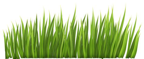 Printable Grass Template Clip Art Library Free Printable