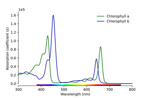 Absorption Spectrum Of Chlorophyll A And Chlorophyll B 17 Download