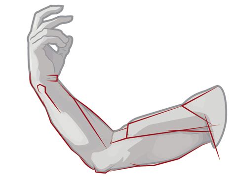 paint draw paint  ross bowns figure drawing drawing  arm