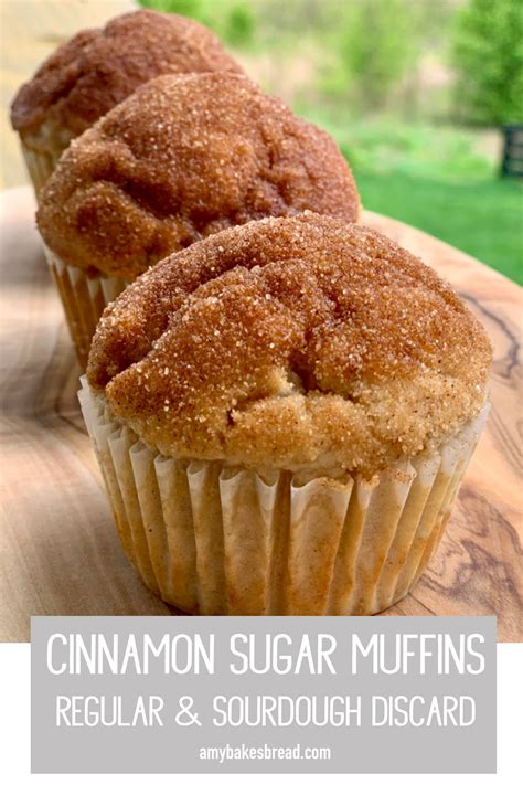 Cinnamon Sugar Muffins Two Ways Artofit