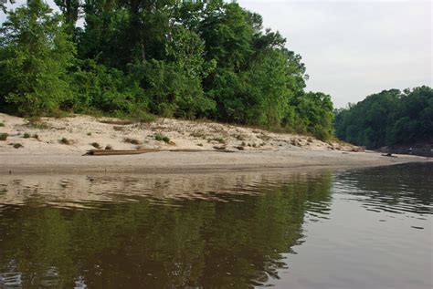 Catfish Fishing Tips For Pascagoula River