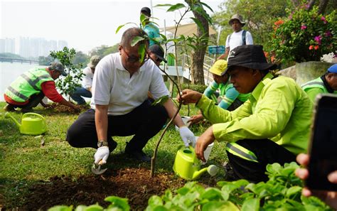 Komitmen Lestarikan Lingkungan Ap Tanam Bibit Pohon Di Hutan Kota