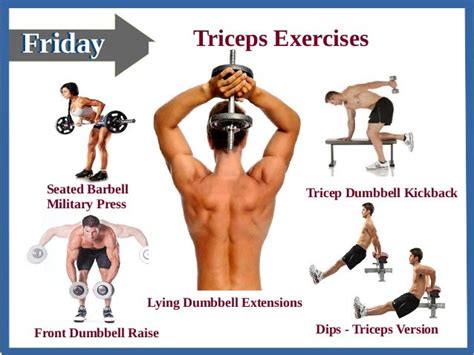 Best Tricep Workouts With Dumbbells | EOUA Blog