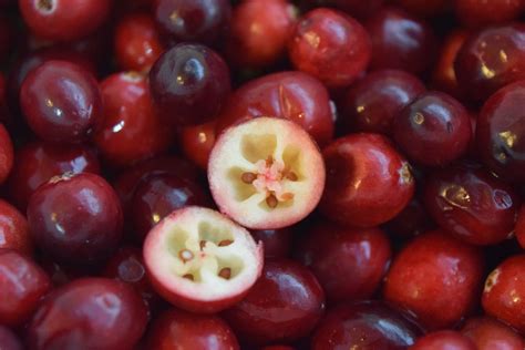 lovely  cranberry smithsonian photo contest smithsonian