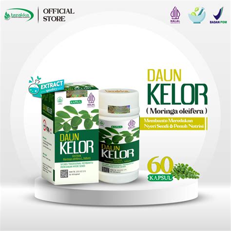 Jual Kapsul Daun Kelor Asli Original Bpom Tazakka Isi 60 Moringa