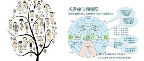 海灵格家族系统排列《谁在我家》：爱在序位中流动 知乎