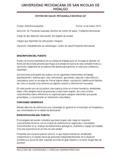 Descripcion De Puestos Pdf Enfermería Hospital