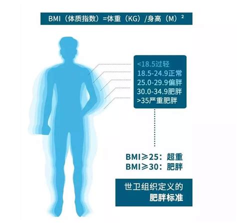 脂肪肝會逆轉還是會癌變？主要取決於這5點→ 每日頭條