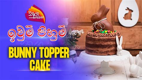 Nugasewana Bunny Topper Cake Design