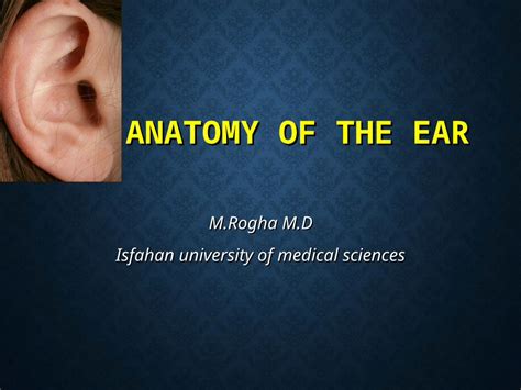 PPT ANATOMY OF THE EAR M Rogha M D Isfahan University Of Medical