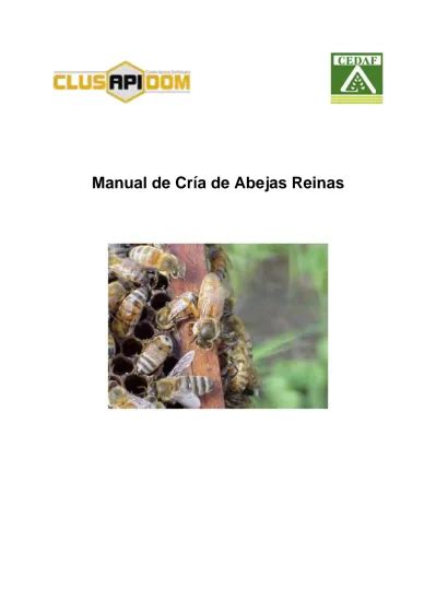 Manual De Cr A De Abejas Reinas