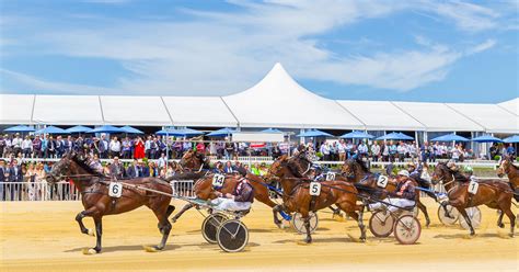 Tickets Now Available for IRT New Zealand Trotting Cup Day 2023 ...