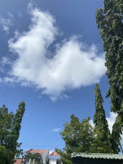 Look around you paradise is everywhere - Slaylebrity