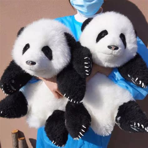 Hehua Panda Plush 5 Months Old Handmade Realistic Panda Plush Panda