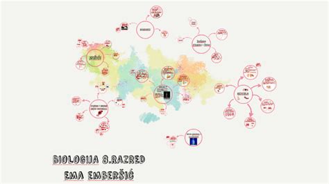 Biologija 8razred By On Prezi