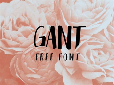 pinterest   fonts elegant fonts   font