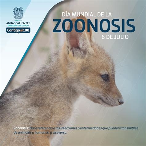 Issea Conmemora El Día Mundial De La Zoonosis Lja Aguascalientes