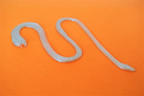 microbeads  ugly truth   tiny pieces  plastic