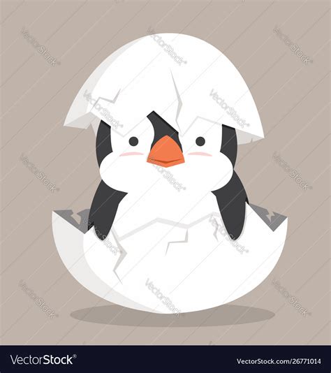 Cute Bapenguin Fat Hatched In Egg Royalty Free Vector Image