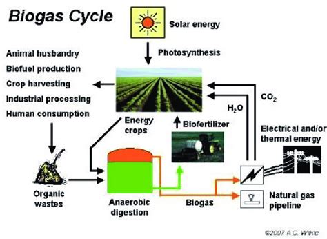 Illustration Of Biogas Cycle Formation And Applications Scheme Taken