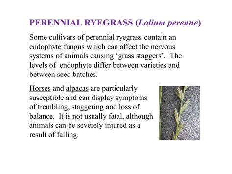 Control of toxic pasture plants (horses) #horsecare | PDF