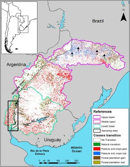 Cianobacterias Y Agricultura El V Nculo Detr S De Las Floraciones