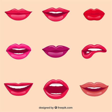 Premium Vector Female Lips