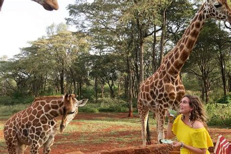 Giraffe Centre Nairobi - Fortune Tide Tours & Travel