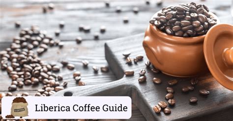 What Is Liberica Coffee? (Guide To The Rarest Type Of Beans)