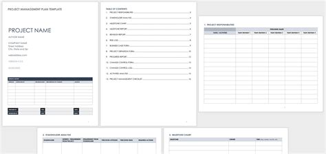 Program Management Plan Template Word