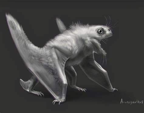 Anurognathus Ammoni Is An Extinct Genus Of Small Pterosaurs That Lived