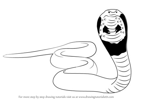 draw  snake snakes step  step drawingtutorialscom