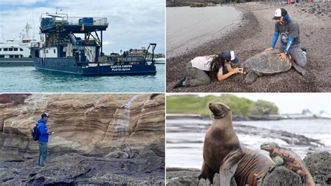 Crucero De Investigaci N Realiza Monitoreo Biol Gico Y Censo A Especies