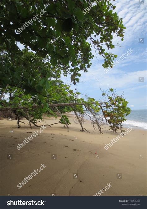 Beaches Libreville Gabon Stock Photo 1193145163 | Shutterstock