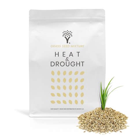 Moowy Heat And Drought Premium Grass Seed For Northern Lawns Made In Usa With Patented