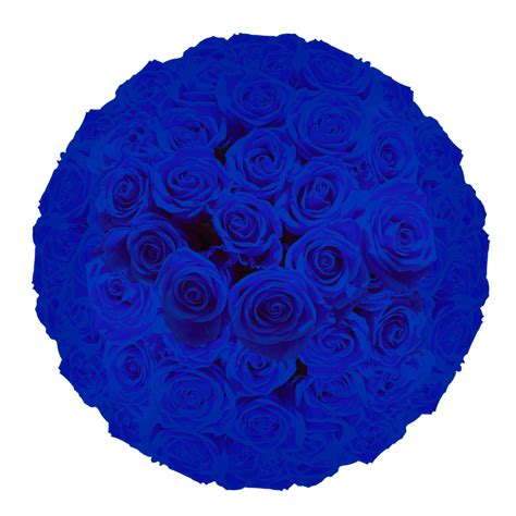 Blue Roses Next Day 100 Globalrose