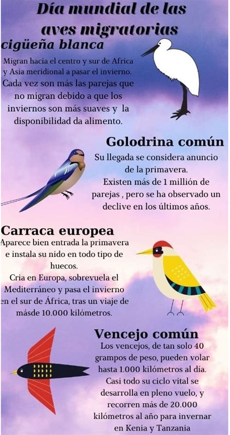 De Mayo De D A Mundial De Las Aves Migratorias Argentina