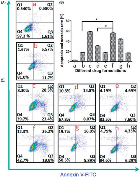 The Apoptosis Assay On Mcf Adr Cells After Treatment With Different