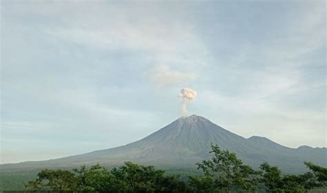 Gunung Semeru Alami 13 Kali Gempa Letusan Pada Pagi Ini Okezone Nasional