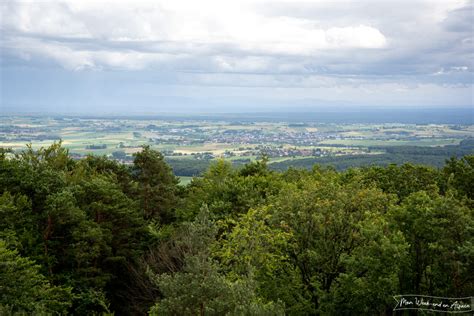 Chemin des Cimes Alsace le belvédère au dessus des arbres