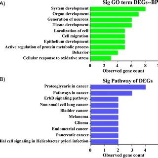 Go Analysis And Kegg Analysis A The Degs Of The Bp By Go Analysis